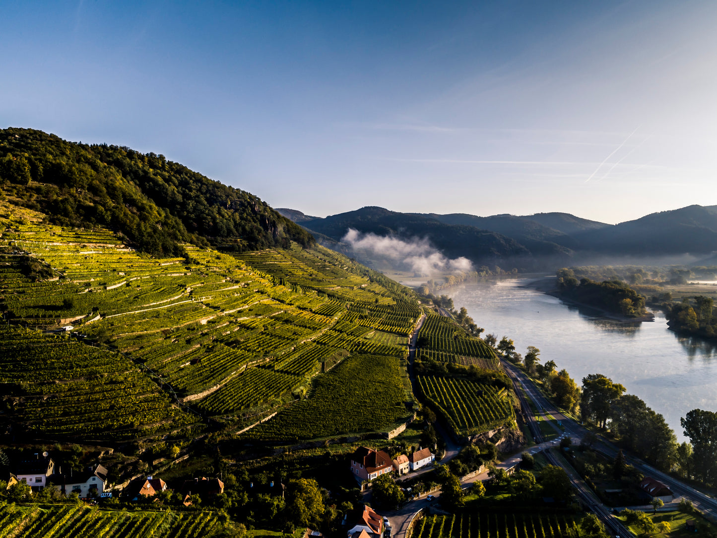 Grüner Veltliner